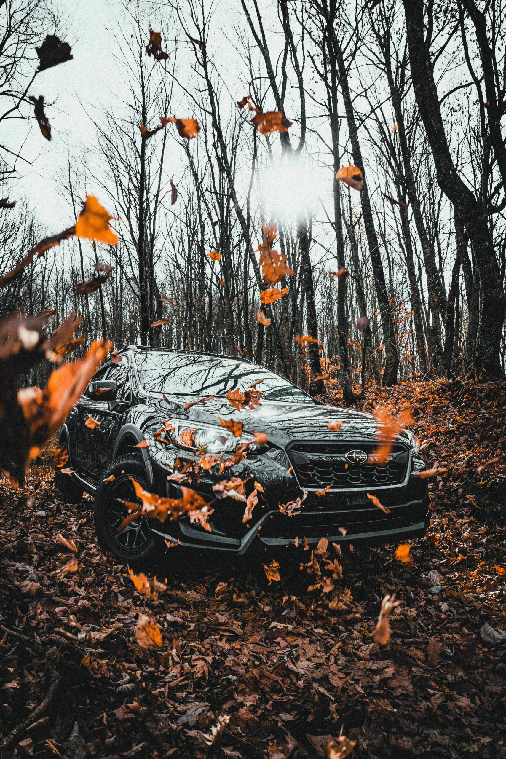 Premium Car Accessories & Parts Available Online