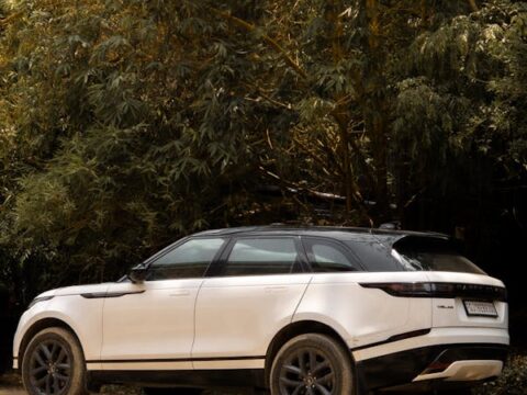 what your luxury car says about you