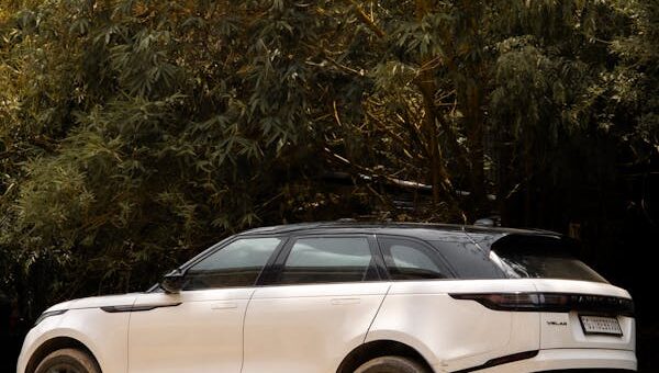 what your luxury car says about you