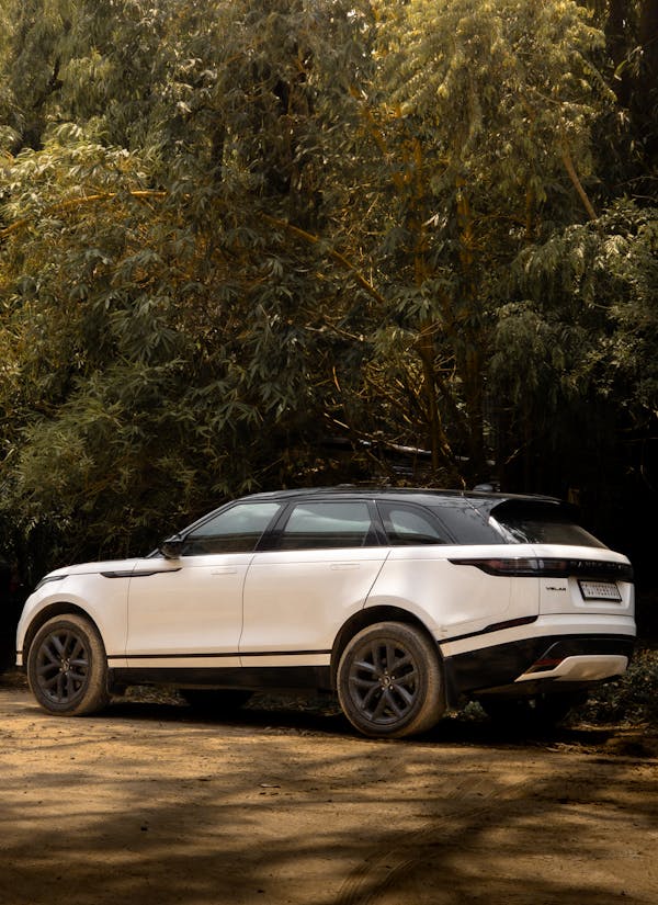 what your luxury car says about you